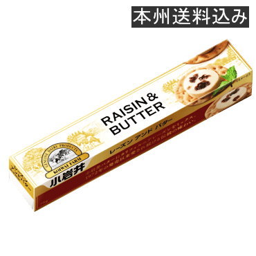 小岩井レーズン アンド バター 75g×【1ケース30個セット】(送料込み※遠方を除く)