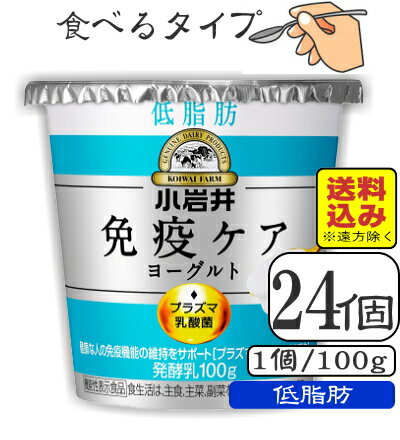 小岩井免疫ケアプラズマ乳酸菌ヨーグルト（低脂肪）100g×【24個（3ケース）】（送料込み※遠方を除く）