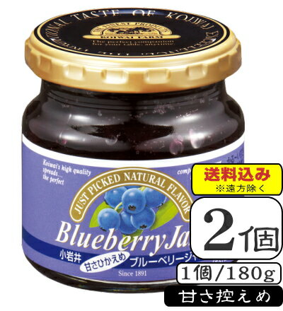 小岩井ブルーベリージャム(甘さ控えめ)(常温保存可能品)180g×【2個】(送料込み※遠方除く)