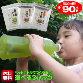 お茶 ティーバッグ 500ml 90本作れる 細長パック 1本あたり22円 ペットボトル 緑茶 烏龍茶 麦茶 玄米茶 ほうじ茶 はと麦茶 和紅茶 お好きなお茶を3種類選べる ティーパック 水出し緑茶 水出し茶 冷茶 無添加 抹茶 静岡茶 国産 お試し 送料無料 ポスト投函