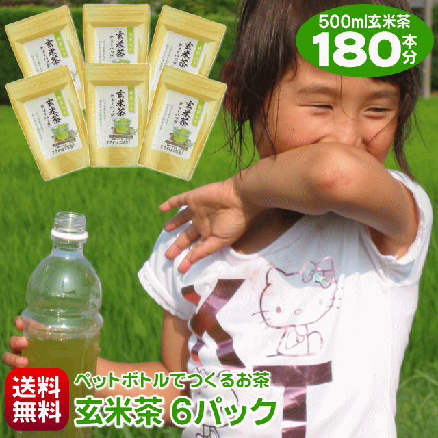 お茶 500ml玄米茶が180本作れる 細長�