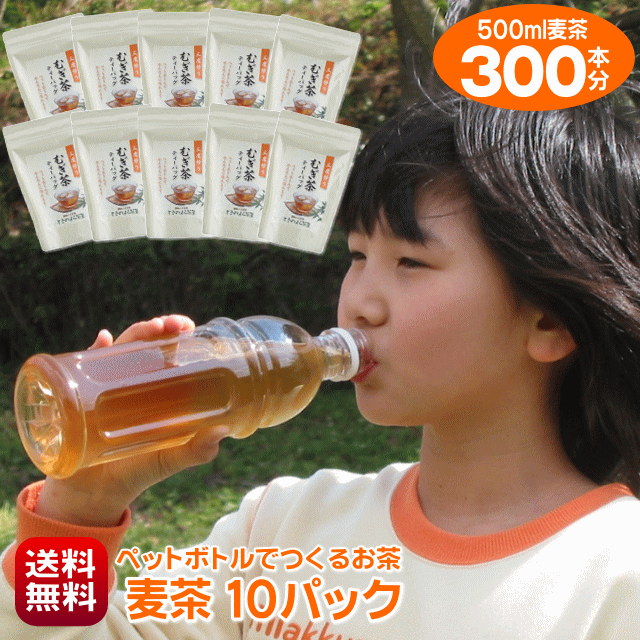 麦茶 パック 500ml ペットボトル 300本