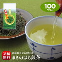 お茶 送料無料 静岡産 深蒸し まきのはら煎茶 100g まろやかな一番茶 味の濃い二番茶 普段飲み 静岡産 深むし茶 緑茶 ポスト投函 日時指定不可 代引き不可