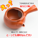 急須 洗いやすい 国産 常滑焼 3名様用 360ml お茶屋オススメ 送料無料 日本茶用 深蒸し茶急須 ベーシックな朱泥色 きゅうす 細かい深蒸し茶でも詰まらない 茶殻が捨てやすい特殊加工 水道代節約 サンプル茶プレゼント 茶器 3