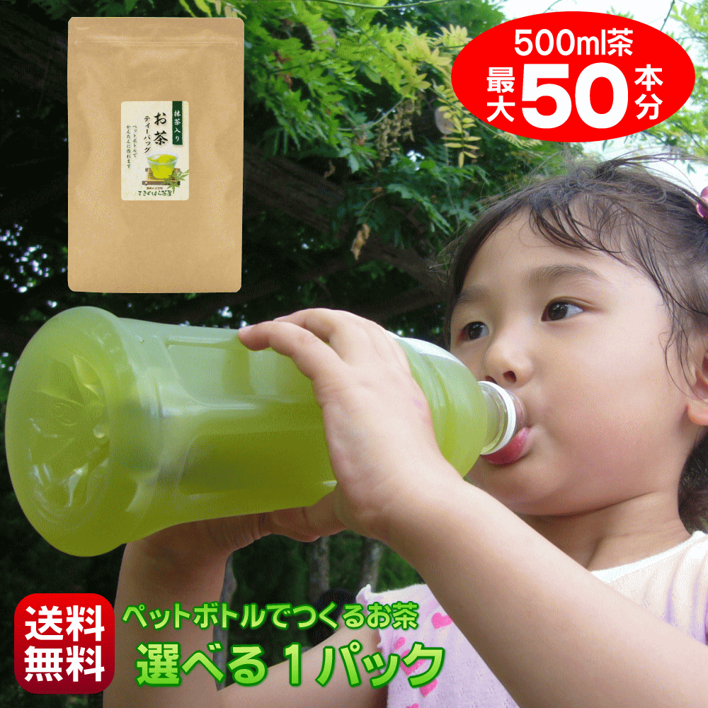 【30％OFF】お茶 ティーバッグ 500ml 最大50本作れる 細長パック 1本あたり最安22円 ペットボトル 緑茶 烏龍茶 麦茶 玄米茶 ほうじ茶 はと麦茶 和紅茶 お好きなお茶を選べる ティーパック 水出し緑茶 水出し茶 冷茶 日本茶 抹茶 静岡茶 国産 無添加 送料無料 ポスト投函