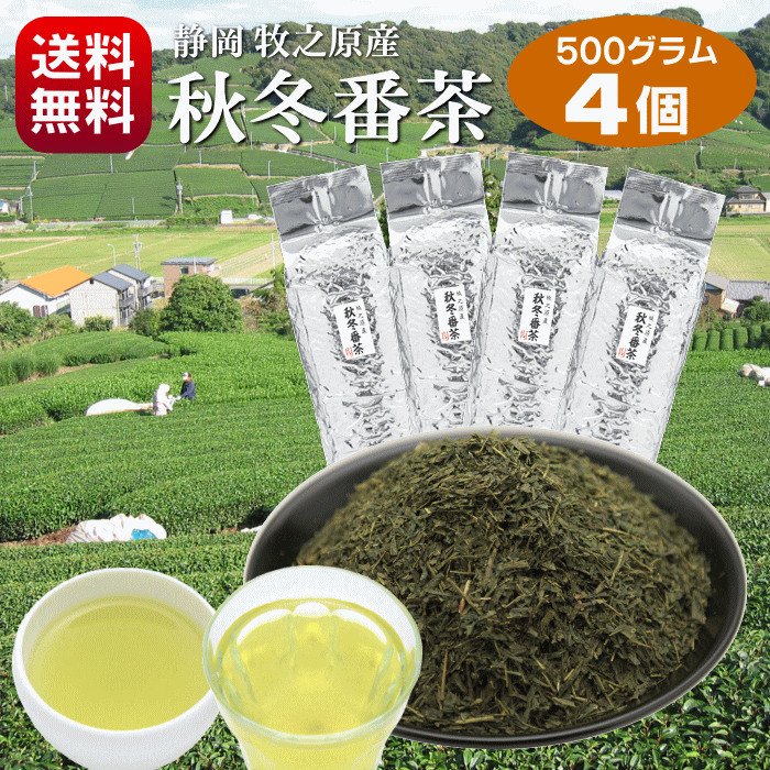 お茶 番茶 秋冬番茶 秋摘み 健康茶 ポリサッカライド 静岡茶 緑茶 やぶきた 冷茶 水出し煎茶 水出し緑茶 秋に摘まれる番茶 2キロ 500g 4パック 徳用 送料無料 くせのないスッキリとした味わい …