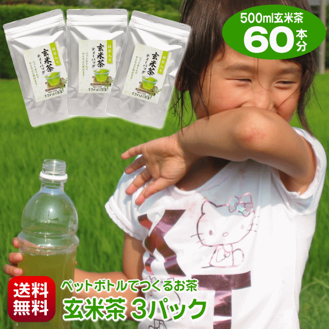 送料無料 500ml水出し玄米茶が60本作