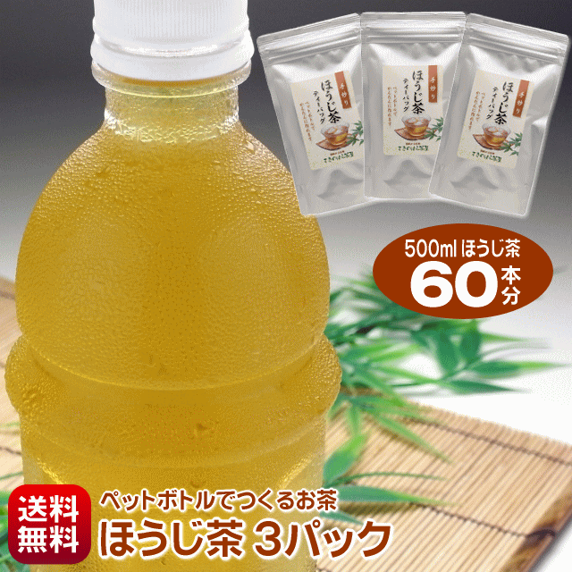 ほうじ茶 500ml 60本 作れる 細長 ティーバッグ ペットボトルでつくるほうじ茶 20個入り 3パック 水出し茶 水出しほうじ茶 水出し焙じ茶 ポスト投函 手作り パック 送料無料