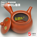 訳あり 急須 大容量 大きいサイズ 常滑焼 5名様用 550ml 送料無料 深蒸し茶急須 きゅうす 大きめ 帯網 細かい深蒸し茶でも詰まらない 日本製 サンプル茶プレゼント中