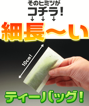 お茶 ペットボトル 500ml 送料無料 90本 ティーバッグ 緑茶 烏龍茶 麦茶 玄米茶 ほうじ茶 はと麦茶 3パック選べる 水出し緑茶 無添加 お試し ポスト投函