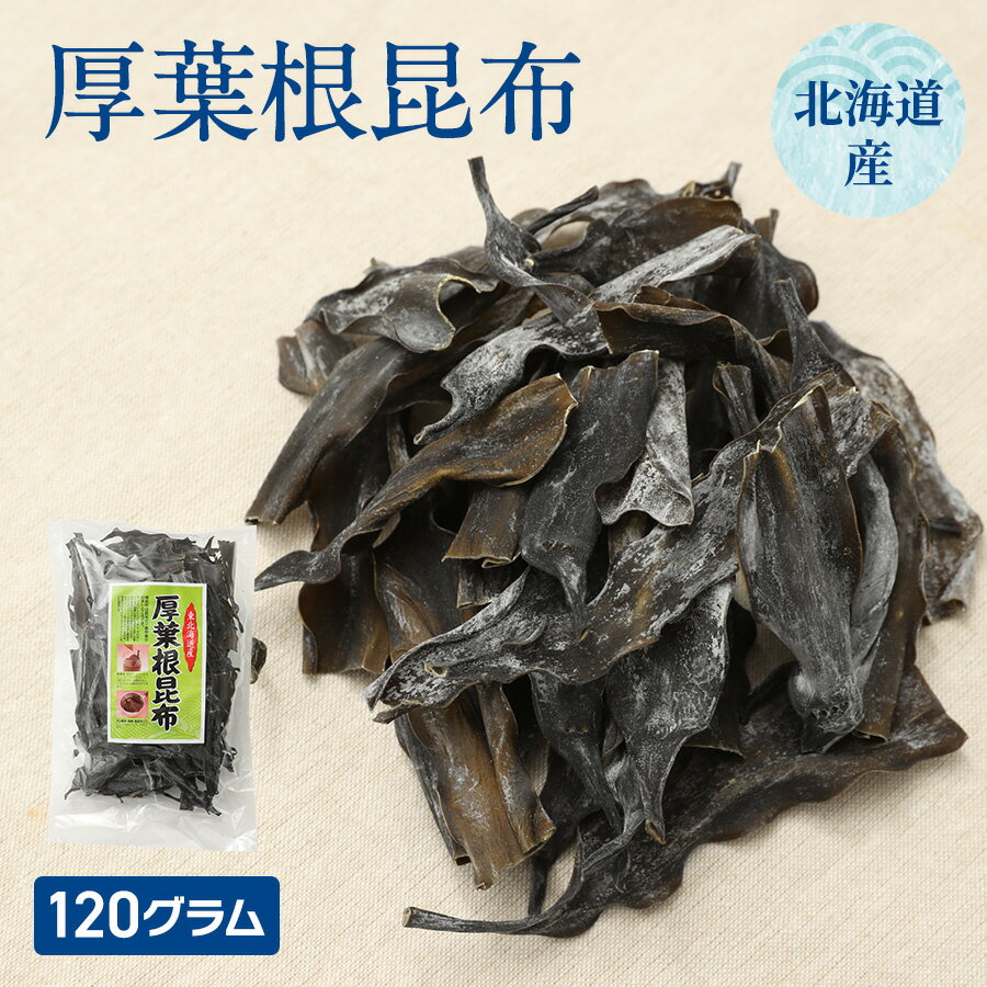 厚葉根昆布 350g 東北海道産 出汁 ダ