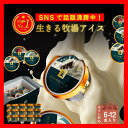 【★上位1%濃厚乳★楽天1位】 アイス 無添加 国産 有機 放牧 アイスクリーム ギフト 6-12個 詰め合わせ ジェラート 北海道 牧場 高級 白砂糖不使用 スイーツ 完全無添加 無添加アイス 無添加アイスクリーム アイスギフト アイスクリームギフト 国産アイス 卵不使用 贈り物