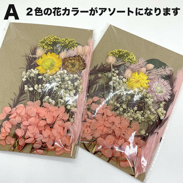 �ץꥶ���֥ɥե����å� ¤�� �ϡ��Хꥦ�� ��DIY��� �ɥ饤�ե�����ƥꥢ���� �����ɥ� ����󥸥��� �ֺ� �ֻ��ϥ�ɥᥤ�� ����å� �꡼����� �ǥ��졼����� ���������꡼ ���奨�꡼���Ķ���¨��ȯ�� ������̵�� ��ڥ��ǥ�����makiras��