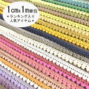 母の日 ギフト ラッピング無料 1cm幅 プチポンポンブレード ぼん天ブレード カラフルボンボンリボンブレード アクセサリー作り ガーランド 営業日即日発送