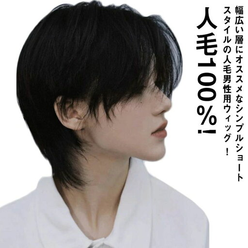 人毛100%! フルウィッグ ウイッグ メンズ 男性 かつら 自然 ビジネス用 人毛 ナチュラル ショート カツラ 黒髪 短髪 医療用 白髪隠し ボリュームアップ 普段使い 軽量 通気性 ヘアスタイリング 白髪隠し 医療用 ネット付き 装着簡単 人毛100%! フルウィッグ ウイッグ メンズ 男性 かつら 自然 ビジネス用 人毛 ナチュラル ショート カツラ 黒髪 短髪 医療用 白髪隠し ボリュームアップ 普段使い 軽量 通気性 ヘアスタイリング 白髪隠し 医療用 ネット付き 装着簡単