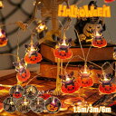 ハロウィン インテリア ランプ 照明 LEDライト クリスマス装飾 おしゃれ 飾り 間接照明 電飾 イルミネーション 居間用 LEDイルミネーションライト ストリングライト LED 電池式 ガーデンライト 屋内 屋外兼用 パーティー クリスマスツリー装飾