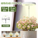 植物育成ライト 植物育成 ライト LED 観葉植物ライト 無段階調光 室内 ガーデニング 3段階調色 USB充電 自動ON/OFF 10段階調光 水耕栽培ランプ...