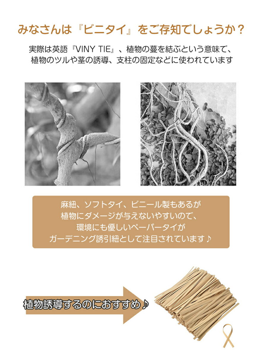 �ڡ���ŷ��1�̡� ���� �Х�� �ӥ˥��� �»楿�� �ڡ��ѡ����� �磻�䡼���� ���� �ȥޥ� ����ե��� �ĥ����ȥ��� ��åԥ󥰥��� �ͤ���ä� �������� ��«�� ��«�Х�� ź���� ����ߤ� ���DIY �����ڱ� �����ǥ˥����� �����«���