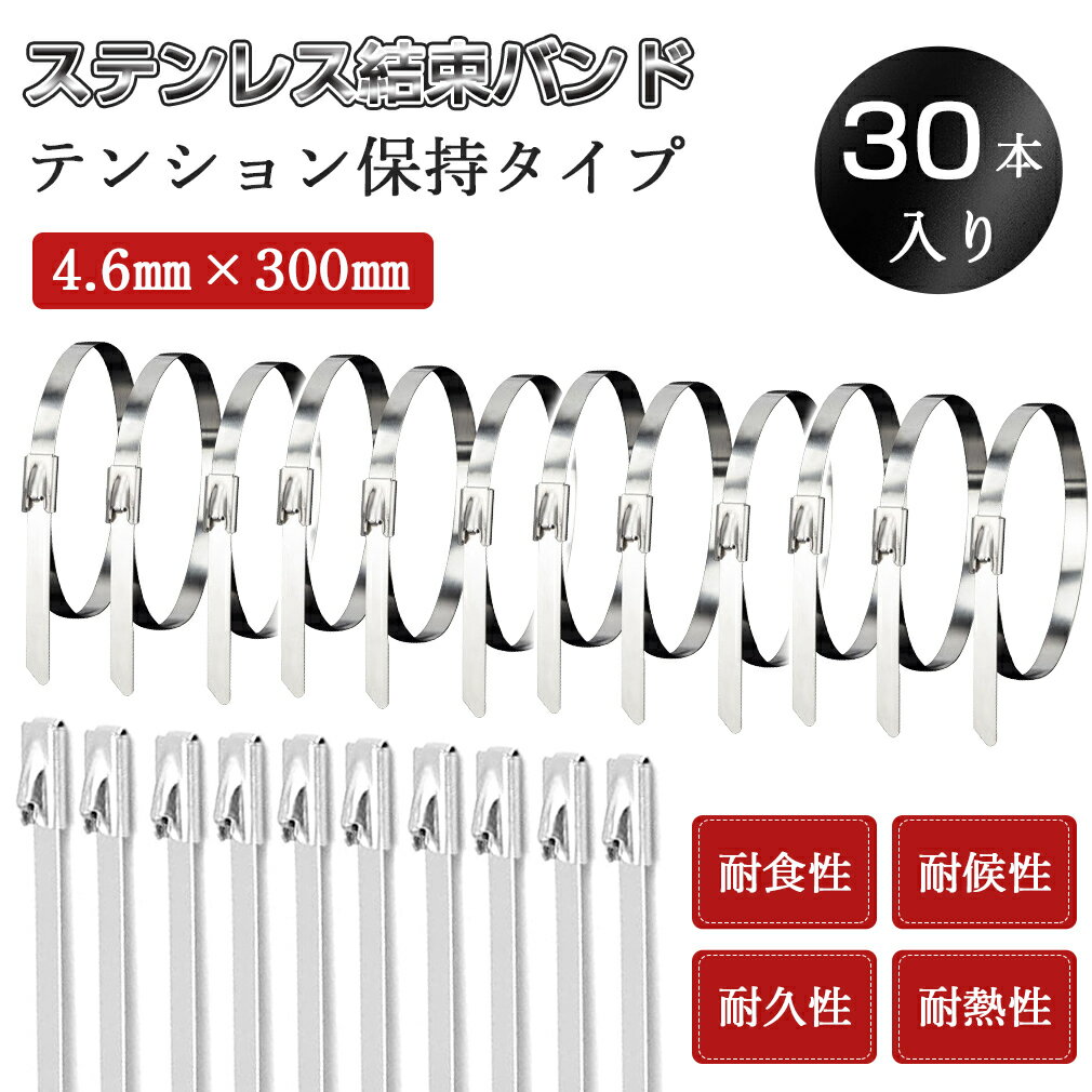 【30本セット】 ステンレス 結束バンド 結束タイ タイラップ ケーブルタイ バンド 4.6mm×300mm インシ..