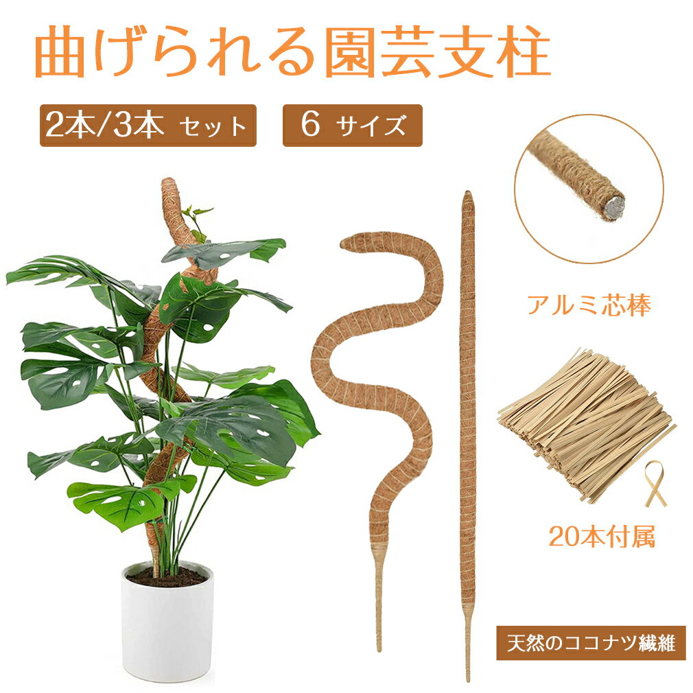 【3本入り】 曲げられる ココスティック モンステラ支柱 観葉植物 支柱 園芸支柱 植物 ガーデニング用 花ささえ ココナッツ支柱 植物サポート つる性植物 トマト ポトス 園芸用 園芸支柱パーツ 高さ調整可能 ココナッツ モンステラ フラワースタンド