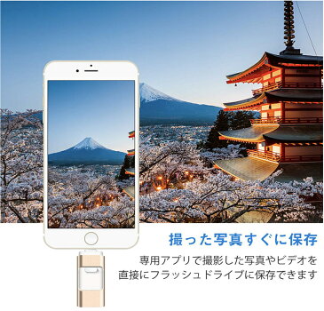 Apple iOS/Android/PC コンピュータ対応 64GB iPhone iPad iPod touchの容量不足解消 パスワード保護 高速データ転送 一本三役