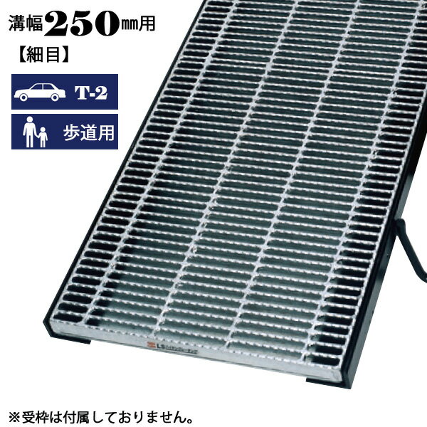 ³ 졼 250mm  ŬѲٽ T-2 ƻ Υ󥹥å LSϥƥ ¦ LNHM19-2.5