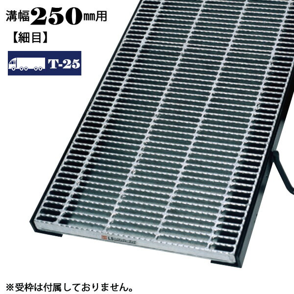 ³ 졼 250mm  ŬѲٽ T-25 Υ󥹥å LSϥƥ ¦ LNHM323-2.5