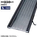 【P5倍! 7/19 01:59まで】溝蓋 グレーチング 溝幅250mm用 普通目 適用荷重 ノンスリップ LSハイテン 歩道用 LNM19-2.5