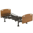 非課税 電動ベッド 介護ベッド マッキンリー ベッド Mckinley Care Bed 1モーター Type F スタンダード LMB-100F 敬老の日 プレゼント 孫 祖母