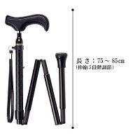 cfs-901bk_r4
