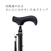 cfs-901bk_r6