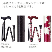 cfs-901bk_r11