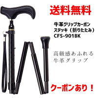 cfs-901bk_r2