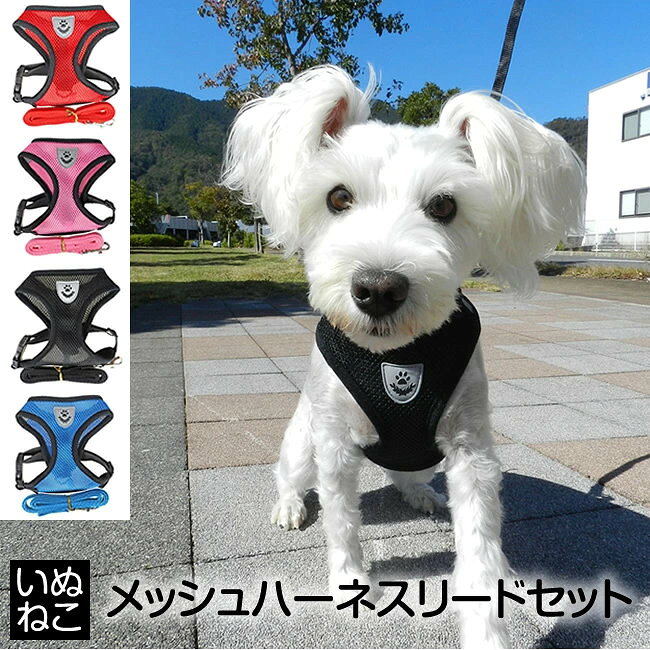 ワンちゃんのお散歩用メッシュタイプのハーネスとリードのセットです。もちろんニャンコのお散歩にも使えます。(近所のニャンコもこれでお散歩させているのを見かけます。)メッシュタイプのハーネスはクッション性が高く、ロープタイプと比べて体に負担がかかりません。通気性も高く蒸れにくいのも特徴。シンプルで飽きのこないデザインです。1〜8kgまでの小型のワンちゃんネコちゃんにおススメです。引っ張る力が強い子や大きい子にはツートンデニムのハーネス3点セットがおススメです。サイズ表をよくご確認の上、ご購入下さい。海外製造のためつくりの粗いところがありますが、日本製と比べてお安く提供しております。若干のほつれや小さな汚れ、色味の個体差は正常品となりますので、ご了承下さい。※メール便・定形外郵便での発送となります。日時指定は不可となります。複数購入でメール便に収まらない場合は佐川急便発送となります。