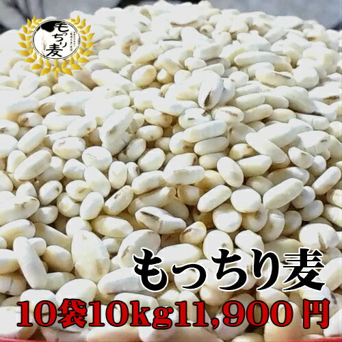 ！！お買い得もち麦 お徳用1kg×10袋お徳用もっちり麦　ダイエット　ダイエット食　まとめ買い　還元