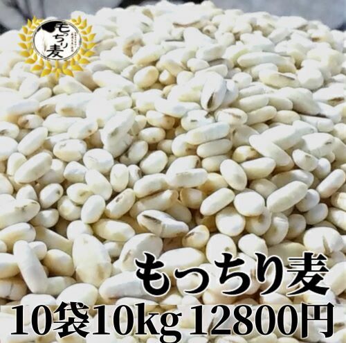 送料無料！！お買い得もち麦 お徳用1kg×10袋お徳用もっちり麦　ダイエット　ダイエット食　まとめ買い　還元