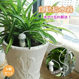 水やり 自動給水器 自動水やり器 6点セット 水やり サイフォン キャップ 自動給水 自動水やり 毛細管現象 自動 自動給水栓 鉢 プランター 園芸 観葉植物 自動給水装置 サイフォン式 紐付き 挿し込む 花壇 鉢植え草花 プランター 旅行 出張 留守 旅行 散水 潅水用具 送料無料