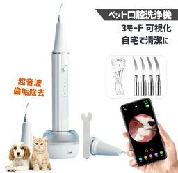 ペット口腔洗浄機 超音波 歯垢除去器 3モード 犬 猫 歯用ツール 電動 ペット用 高周波振動スケーラー 振動デンタルクリーナー 口内洗浄 可視化 見える ペットの歯垢 歯周病 歯石 除去 防水 自宅で清潔に 簡単的操作 口腔ケア 動物 おすすめ 安全