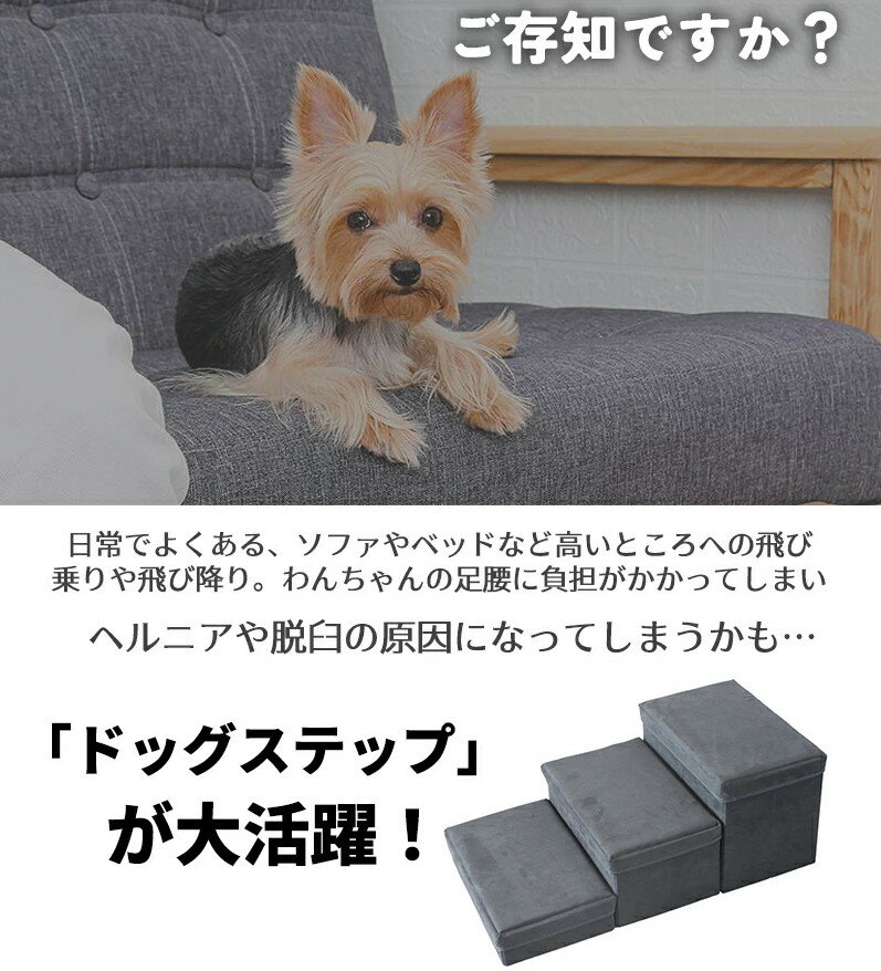 ドッグステップ ペット用 階段 高齢犬 スロー...の紹介画像2