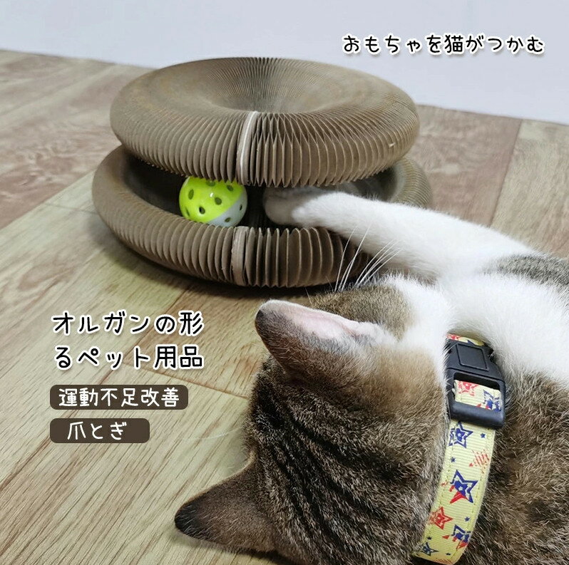 猫の足の形オルガンの形猫の足の形ベッドの形猫ケージの横や家の床にあるペット用品