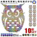 鳥よけ フクロウ 反射板シール 10個セット ホログラム 鳥よけ 家庭菜園 農業用品 貼り付けタイプ 資材 梟 ふくろう 反射 窓 ナイロン 田畑 鳥害対策 T...