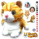 爆笑 ものまね みいちゃん ネコ 踊る 声真似 ぬいぐるみ おもしろグッズ プレゼント 景品 誕生日 子供 お年寄り ペット 景品 クリスマス KOEMANEKO