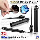★10%オフ★楽天スーパーセール★ 2個セット ステンレスピック 格納式 キャンプ 小型 合金 多機能 持ち歩き DIY 車 整備 キーホルダー ステンレス製 つまようじ スタイリッシュ クラフト 小物 プレゼント DENSUPI(3)
