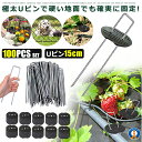 100本セット 園芸用 らくらくシート 押さえピン 長さ15cm 防草シート ピン 防草 園芸 マルチ 押さえ uピン杭 黒丸付 防草シート 除草シート 雑草対策 100-UPINSET