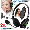 2個セット usb ヘッドセット テレワーク 在宅ワーク テレビ会議 ミュート機能付き 高音質マイク 両耳ボイスチャット用 ヘッドフォン PC Windows ...