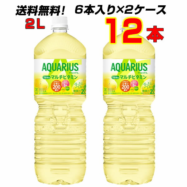 アクエリアス 1日分のマルチビタミン 2L PET 12本 (6本入り×2ケース) コカ・コーラ ビタミンC 【送料無料】【コカコーラ社直送】