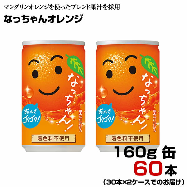 なっちゃんオレンジ 160g缶 60本 【30本×2ケース 】 オレンジ おやつ 果汁感 果汁飲料 サントリー まとめ買い 送料無料