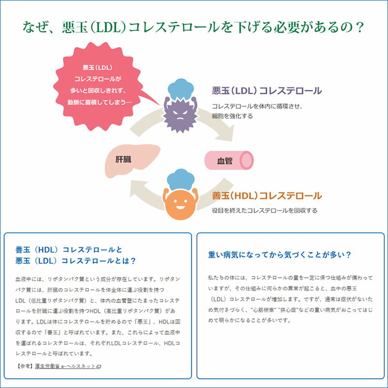 緑茶 伊右衛門プラス500コレステロール対策 500ml 24本【1ケース】ペットボトル お茶 健康茶 機能性表示食品 サントリー まとめ買い 送料無料 3