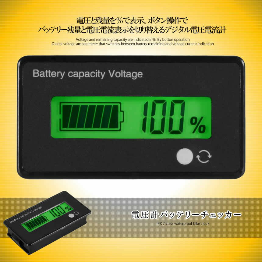 楽天スーパーセール10%OFF!! 電圧計バッテリーチェッカー 直流 12 24 36 48V シェル付き 自動車用 BATCHEE 【送料無料】