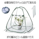 温室ビニールハウス 折りたたみ 家庭用 折り畳み フラワースタンド用 ミニガーデン 温室カバー ホーム温室 強風対策 成長促進 防水 UV防止 園芸用 家庭菜園...